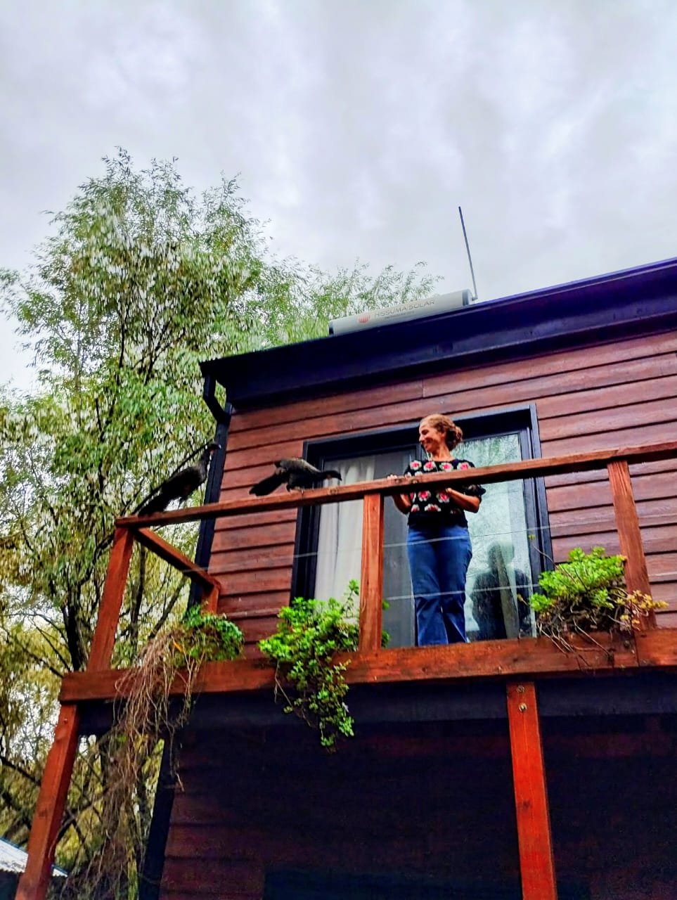 Casa Isla del Delta, casa autosuficiente sobre palafitos en el Delta de Tigre, Buenos Aires — foto 3 de 9. Proyecto del Arq. Germán Vazquez