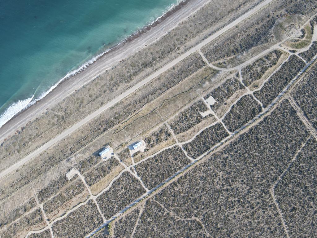 Aldea Vitivinícola de Mar Puerto Campo, desarrollo vitivinícola costero en San Antonio Este, Río Negro — foto 7 de 13. Proyecto del Arq. Germán Vazquez